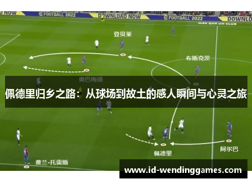 佩德里归乡之路：从球场到故土的感人瞬间与心灵之旅