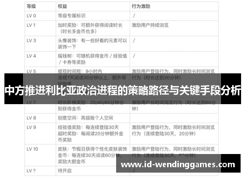 中方推进利比亚政治进程的策略路径与关键手段分析