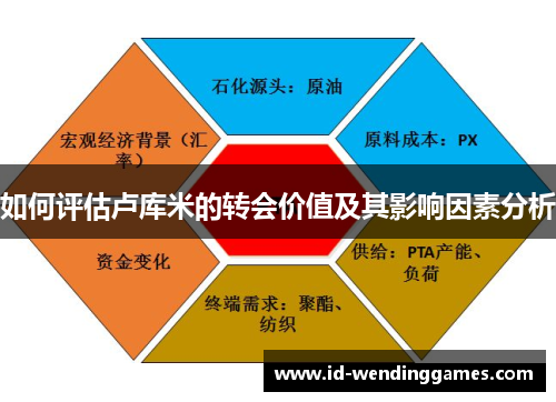 如何评估卢库米的转会价值及其影响因素分析